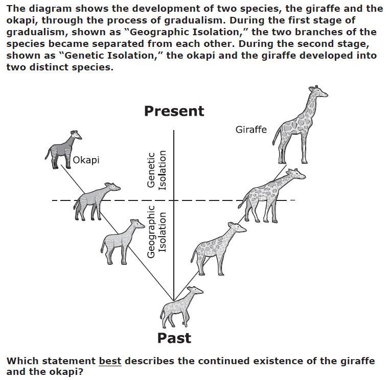 A The two species will likely interbreed with each other, resulting in young with-example-1