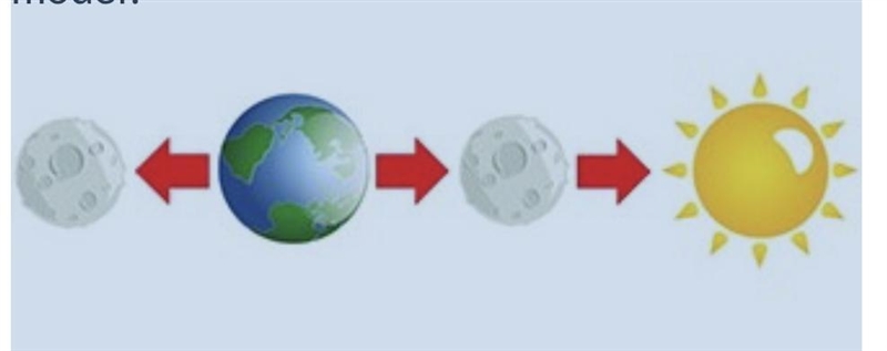 What moon phases are present in the model? a. New Moon and Full Moon b. 1st Quarter-example-1