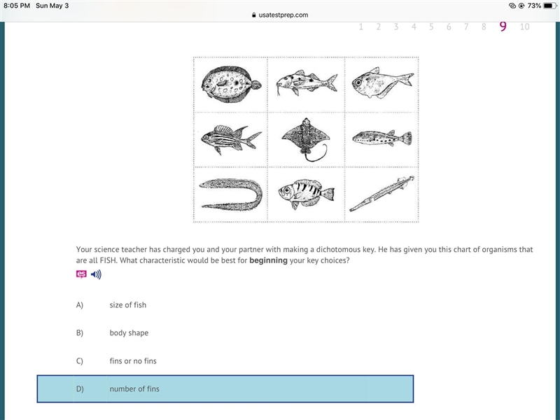 Your science teacher has charged you and your partner with making a dichotomous key-example-1