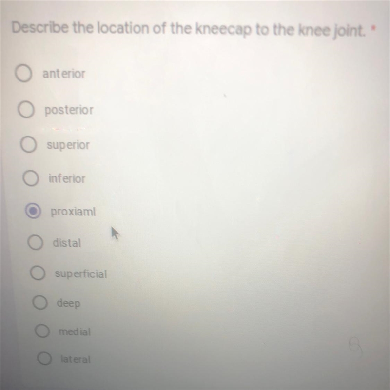 Describe the location of the kneecap to the knee joint-example-1