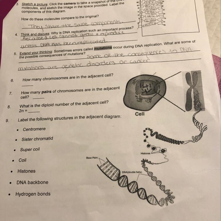 I need help with question 6 plz!!-example-1