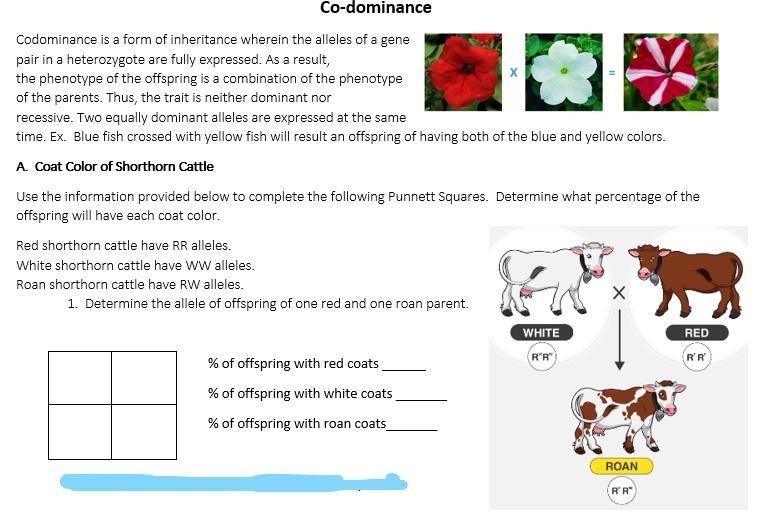 Determine the allele of offspring of one red and one roan parent.-example-1