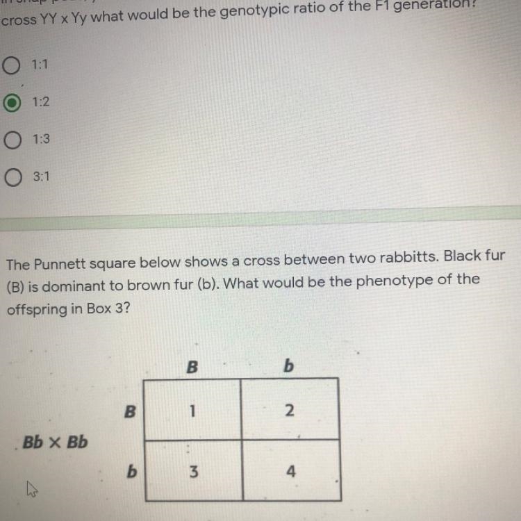 Please help ASAP !! punnet squares- biology-example-1