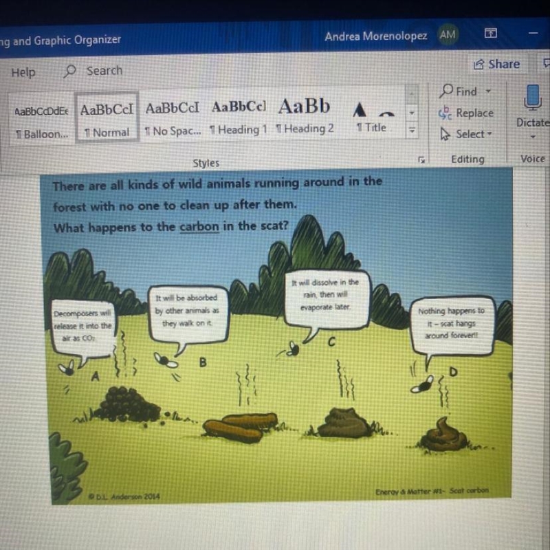 Interpret and answer the question integrated in the cartoon above by using key terms-example-1