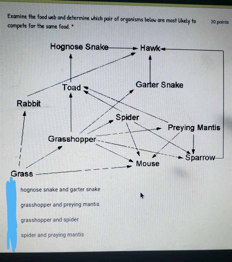 Which pair of organisms below are most likely to compete for the same food?​-example-1