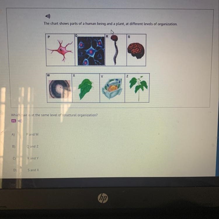 The chart shows parts of a human being and a plant, at different levels of organization-example-1