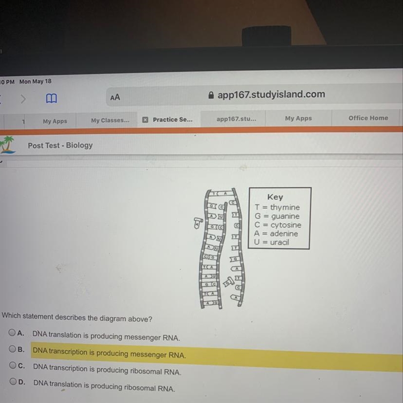 Which is statement describes diagram above-example-1