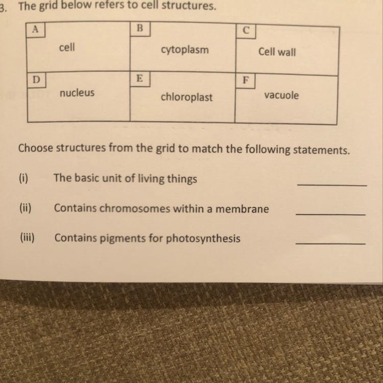 Someone please answer!-example-1