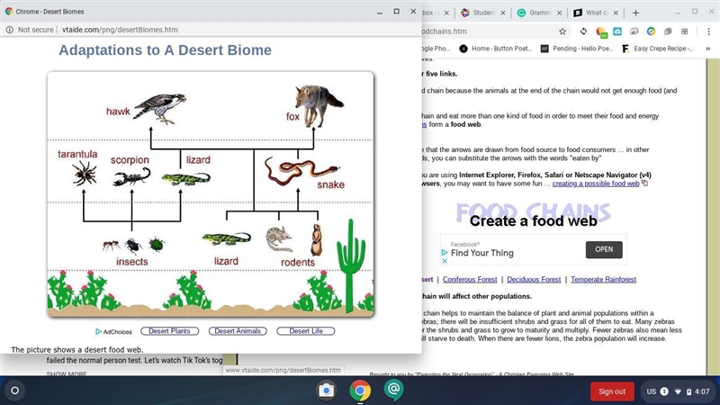 Choose one of the food webs. For that particular food web, describe how a change in-example-1