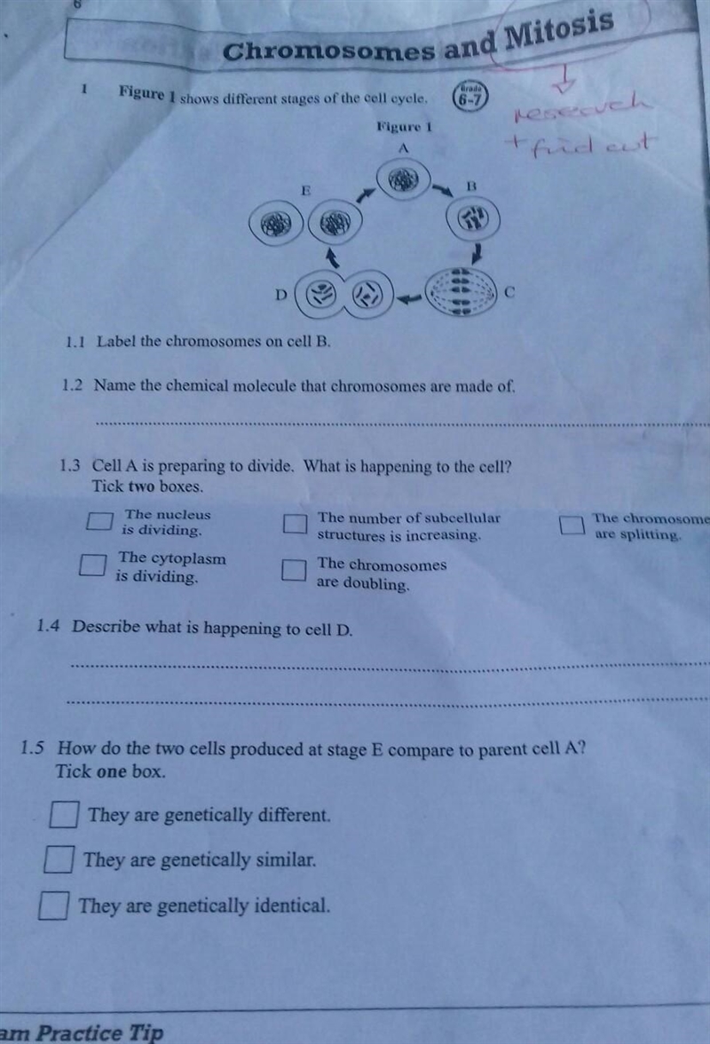 Any one know about mitosis ​-example-1