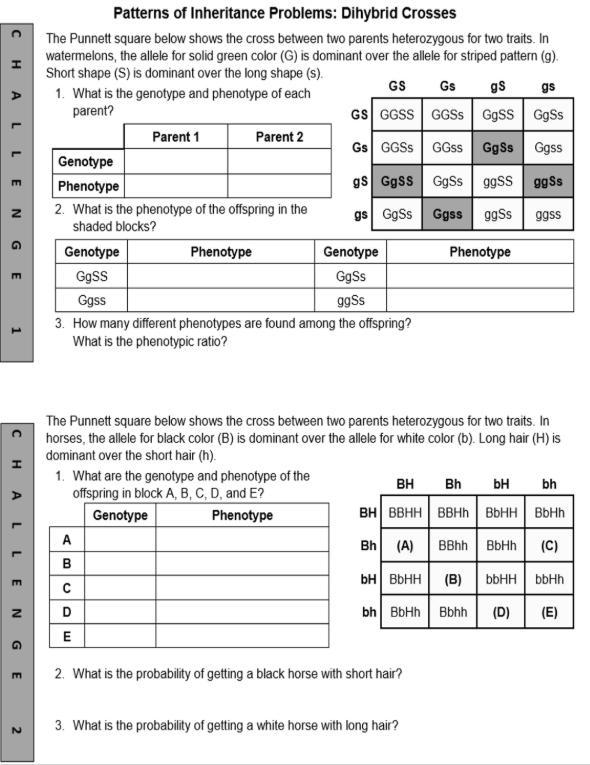 This is Heredity charts and i don't know how to do them! please do them and help!-example-1