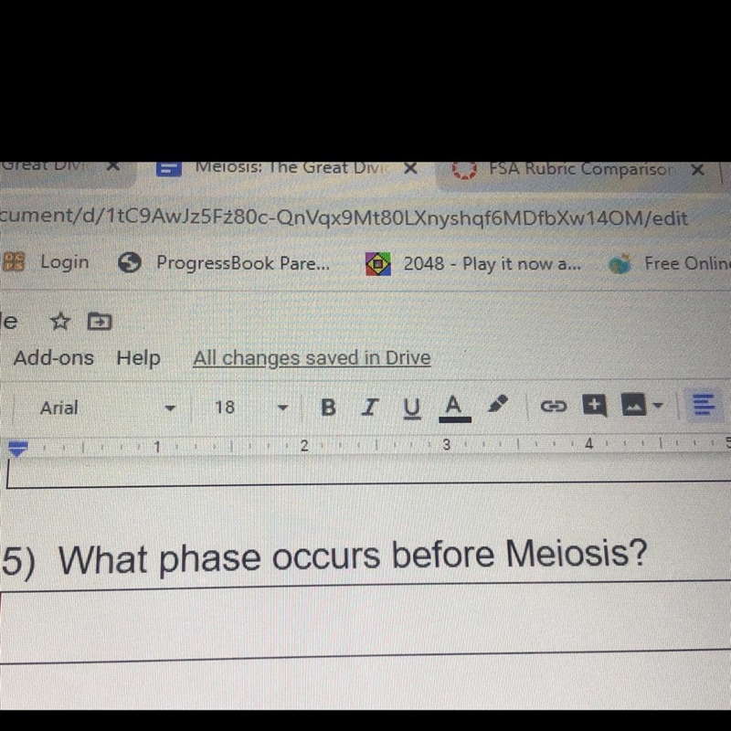 What phase occurs during meiosis-example-1