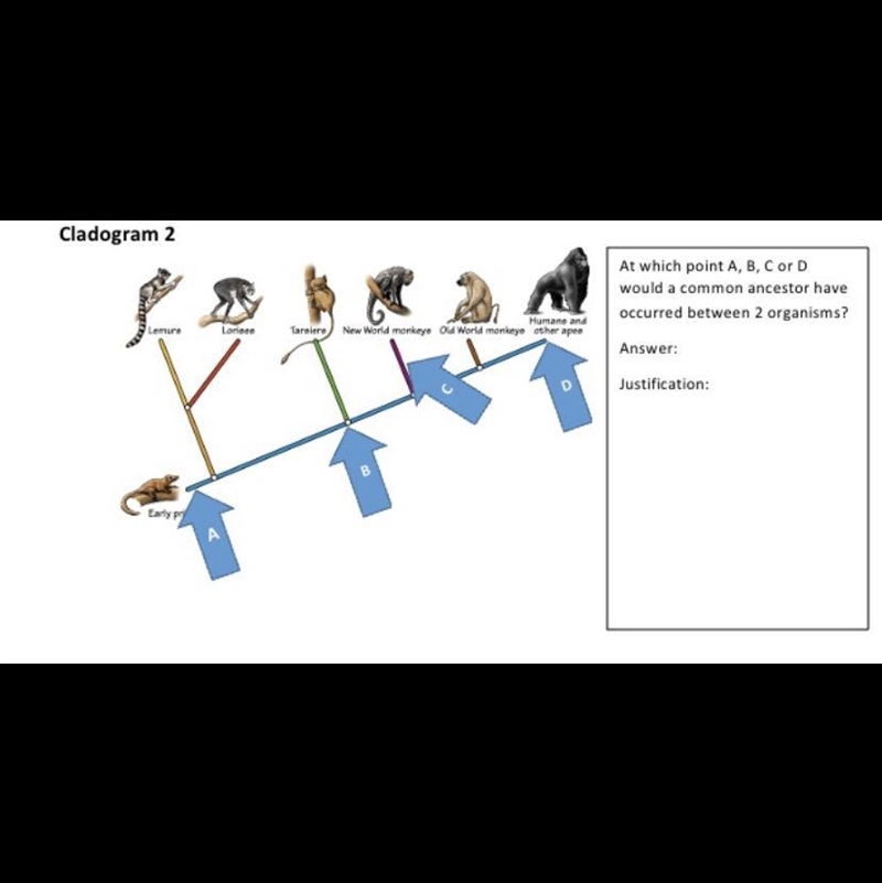 Need help with biology problem please-example-1