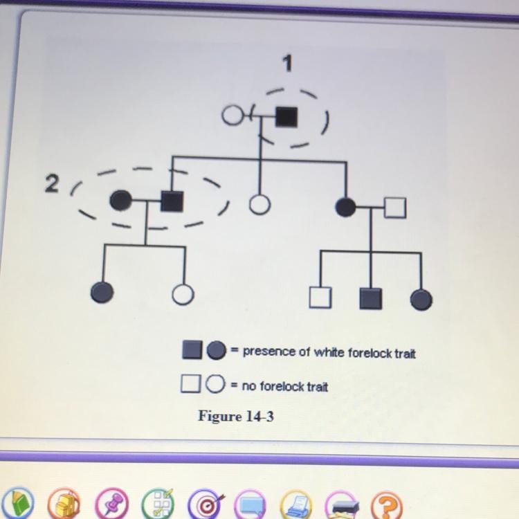 Use Figure 14-3 to answer the question 37. Examine the pedigree in Figure 14-3. The-example-1