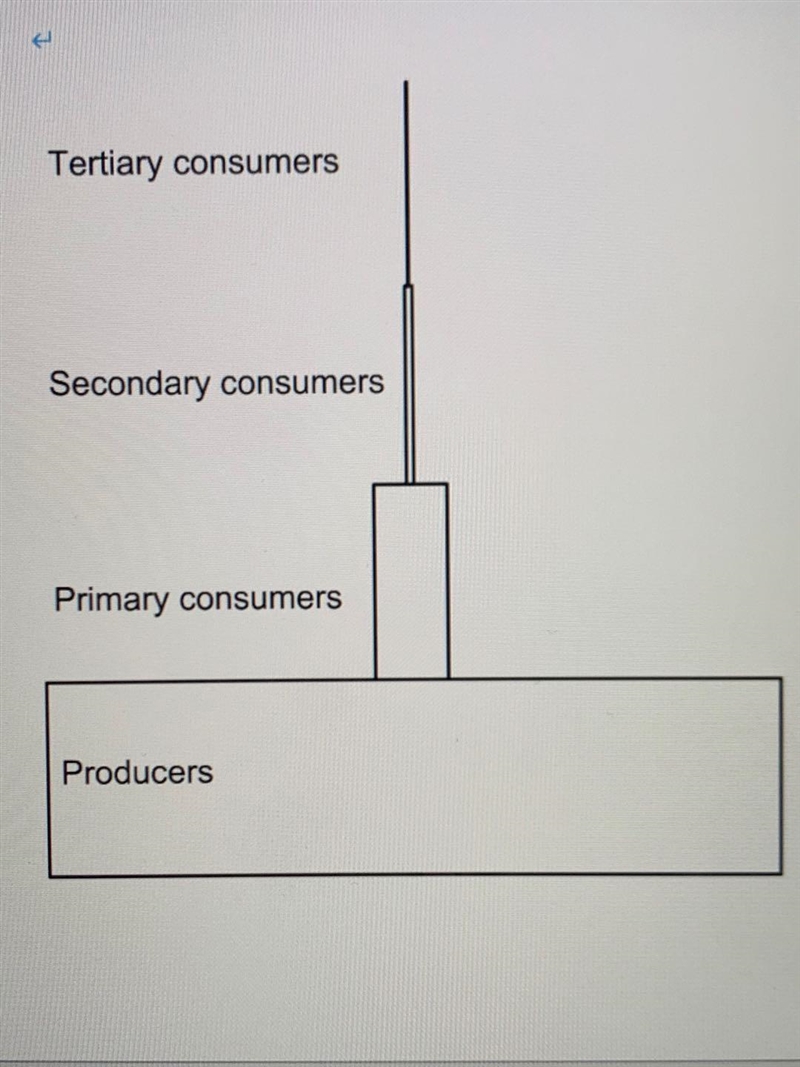 1. Look at the illustration of a trophic level pyramid. For each trophic level, write-example-1