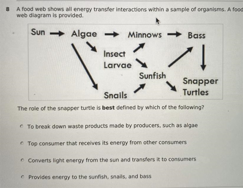 The role of the snapper turtle is best defined by which of the following?-example-1