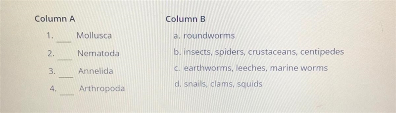 Match the phylum with the animal.-example-1