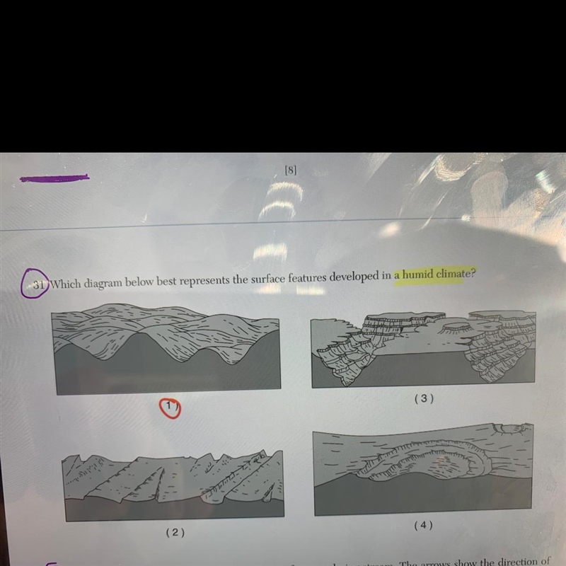 Which diagram below best represents the surface features developed in a humid climate-example-1