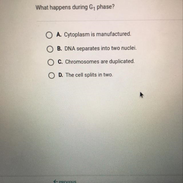 What happens during G1 phase?-example-1