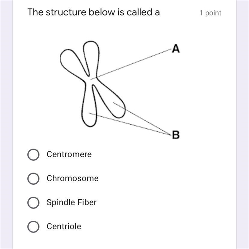 Can someone help me please-example-1