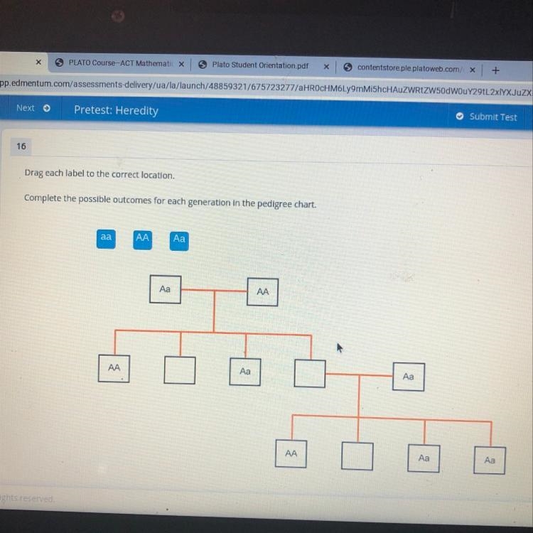 Drag each label to the correct location. Complete the possible outcomes for each generation-example-1