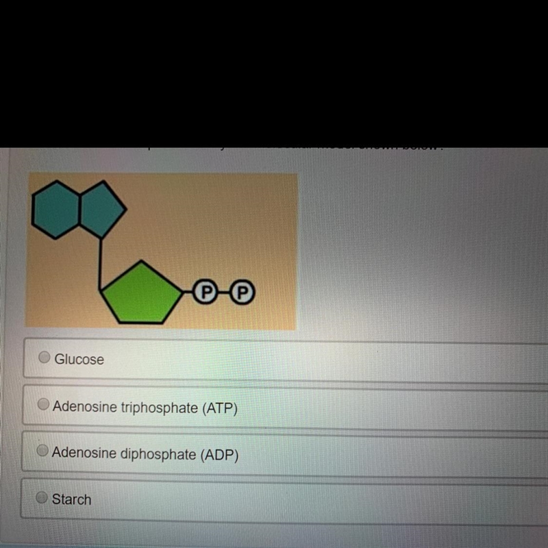 What molecule is this ...-example-1