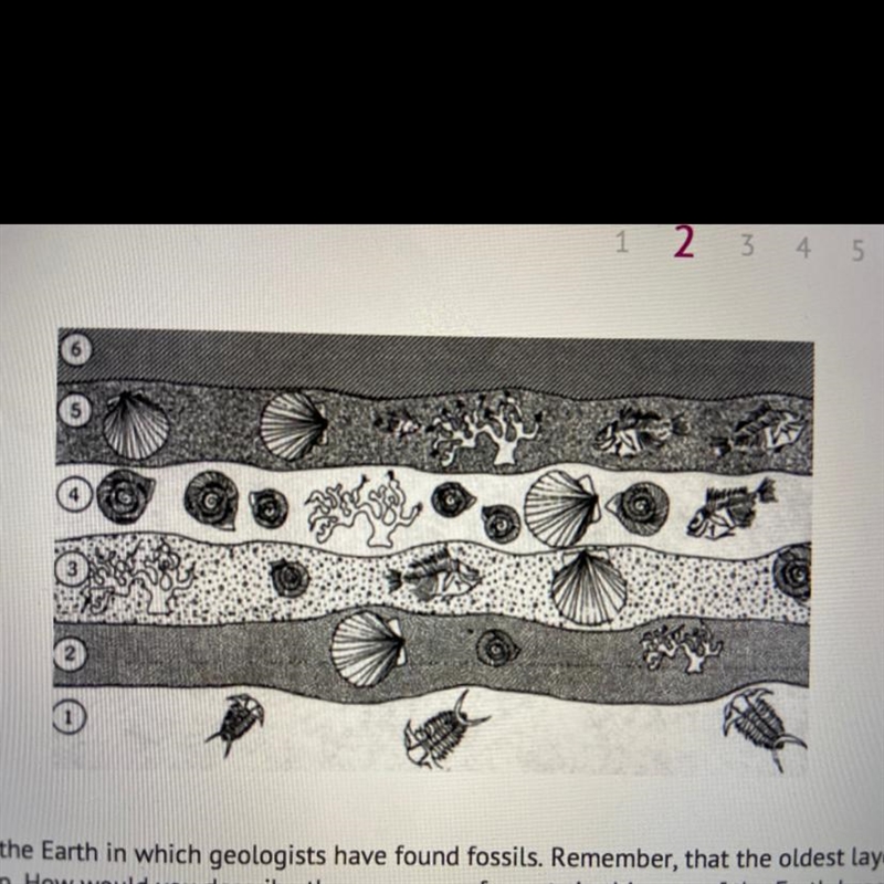 Review the ancient layers of the Earth in which geologists have found fossils. Remember-example-1