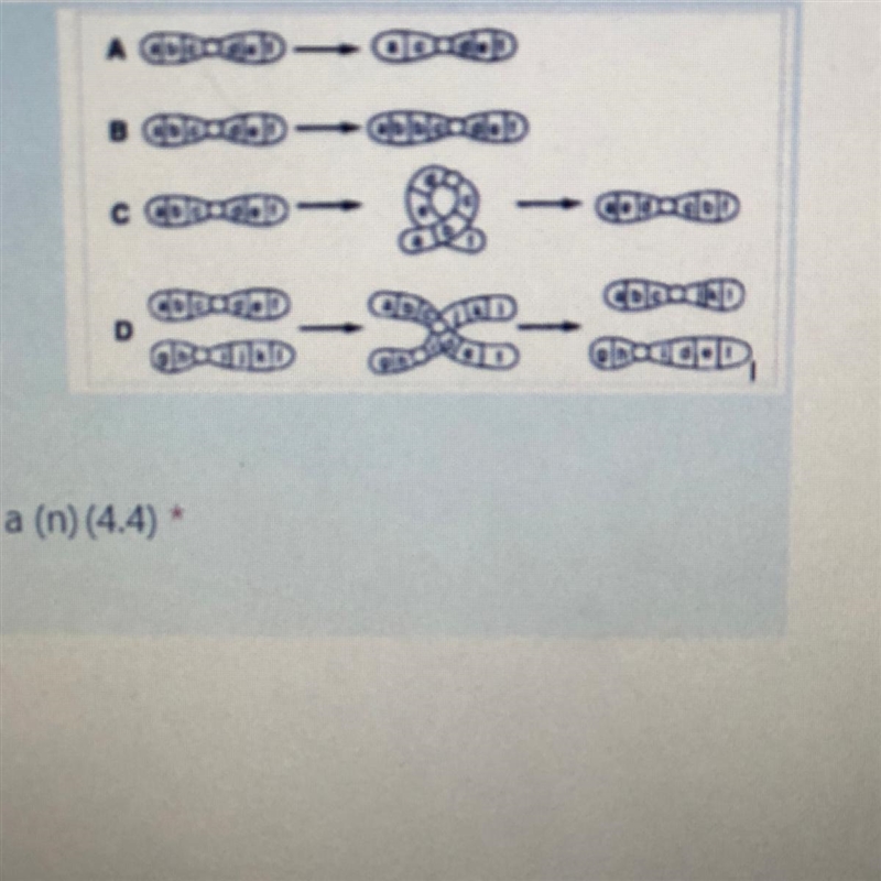 The mutation shown in line D of the figure above is a A. translocation B. inversion-example-1