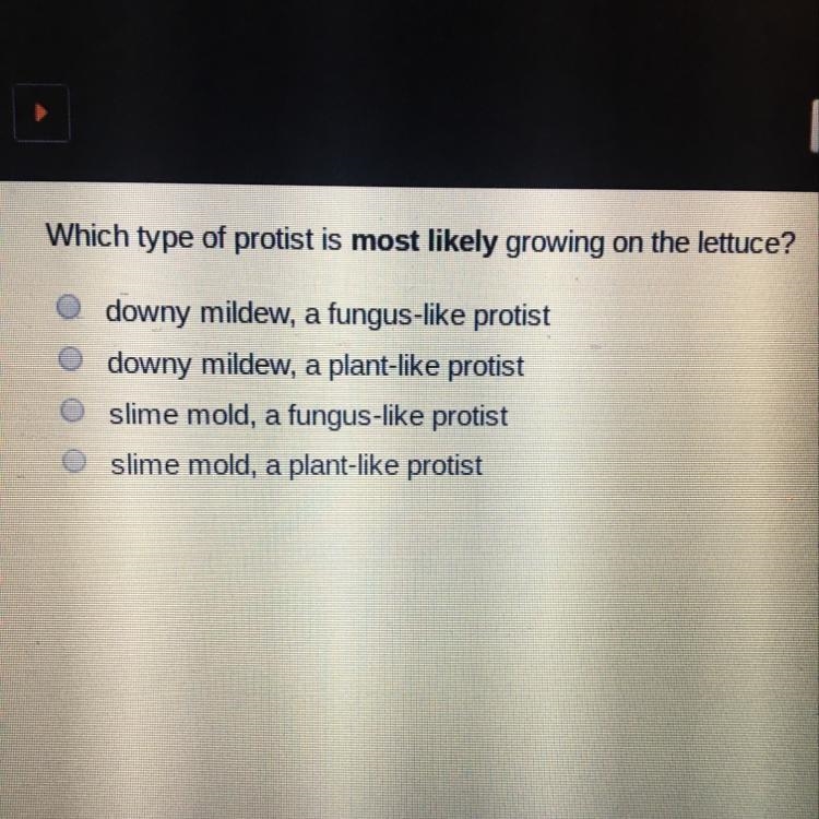 Hite Which type of protist is most likely growing on the lettuce? downy mildew, a-example-1