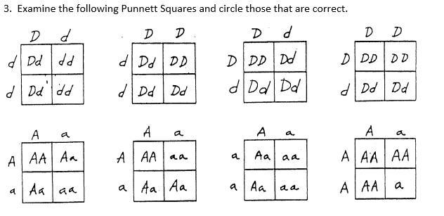 Here pls help l think this is easy for ya guys but is hard for me,Pls help me(DOn-example-1