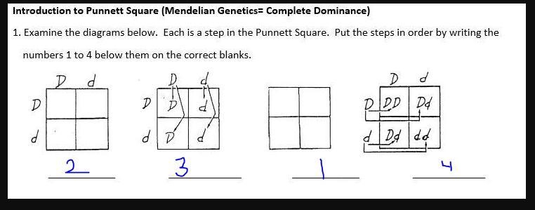 Help this one pls, l hope is easy-example-1