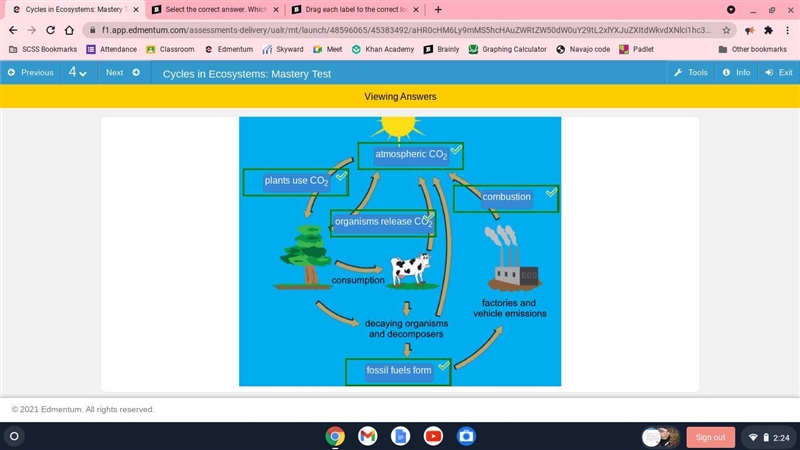 Drag each label to the correct location on the image. Identify the remaining processes-example-1