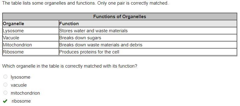 The table lists some organelles and functions. Only one pair is correctly matched-example-1