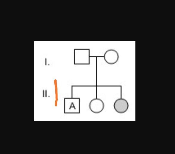 In the family tree below, people with the recessive trait of attached earlobes are-example-1