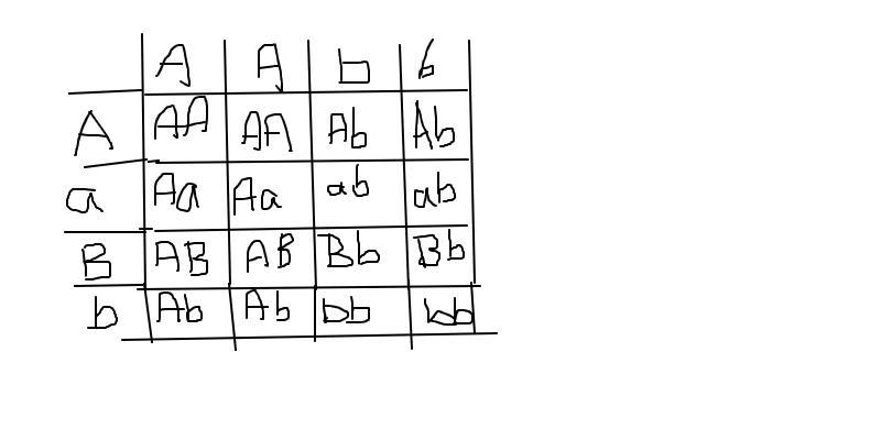 In pea plants yellow seeds are dominant over green seeds and purple flowers are dominant-example-1