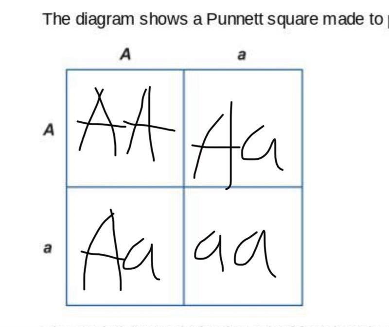 Question is in the pic. 20 points to answer.-example-1