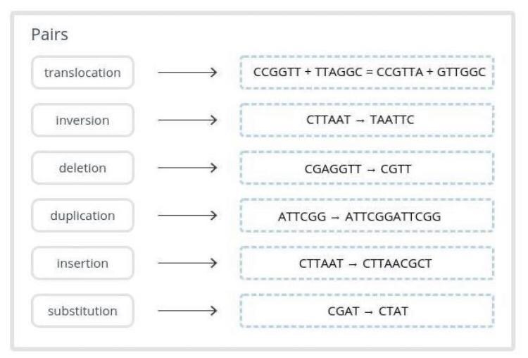 Match the genetic mutations with their names.-example-1