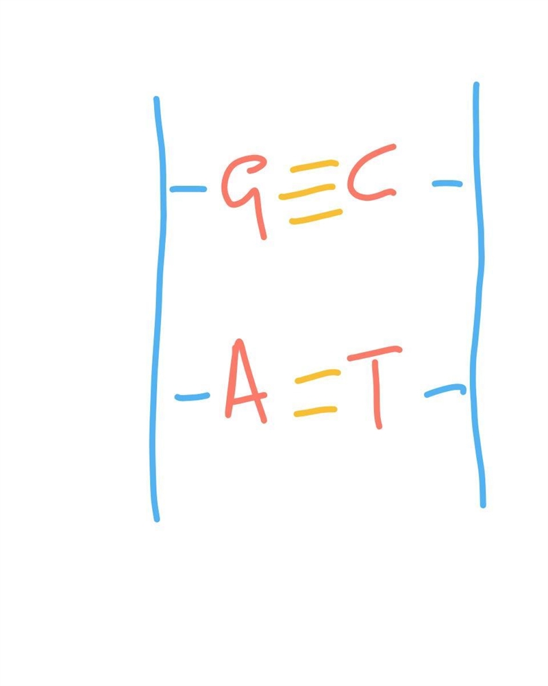 O A. C with G, and A with T O B. C with A, and G with T O C. C with T, and G with-example-1