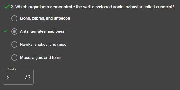 Which organisms demonstrate the well-developed social behavior called eusocial? 1. Ants-example-1