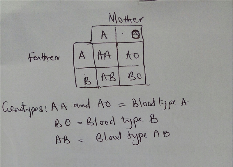 Could a child with type B blood with a mother of type A blood have a father with type-example-1