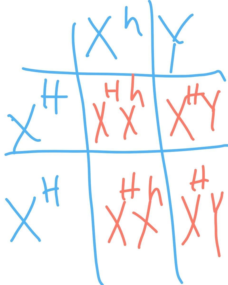 Sex-linked traits punnet squares - please help walk me through it! I’m so confused-example-1