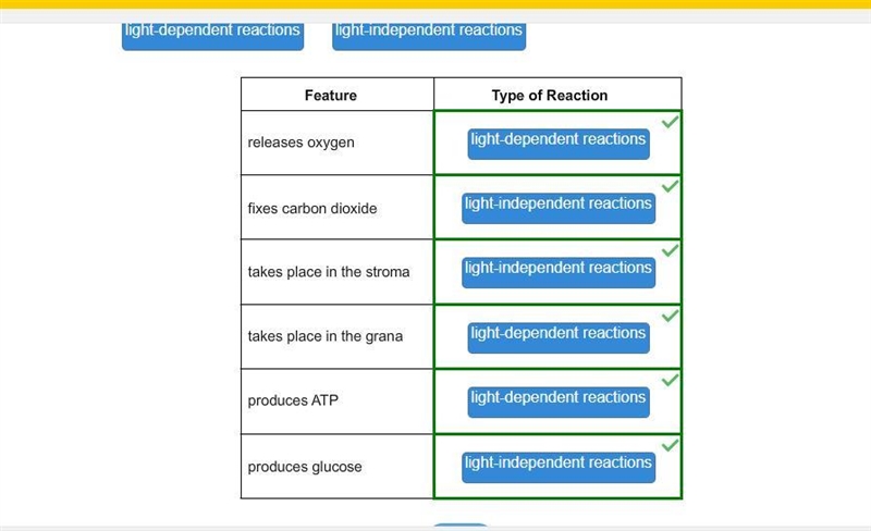 Identify which type of reaction the feature occurs in. light-dependent reactions light-example-1