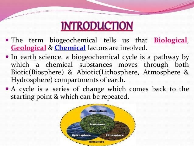 In the term biogeochemical cycle what does bio stand for-example-1