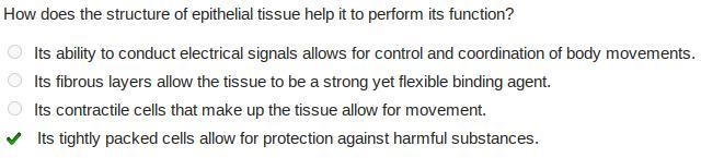 How does the structure of epithelial tissue help it to perform its function? Its ability-example-1