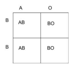 In a co-dominant type of inheritance, a heterozygous A blood type female is crossed-example-1