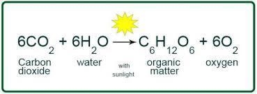 18. In some chemical reactions, such as photosynthesis, several different compounds-example-1