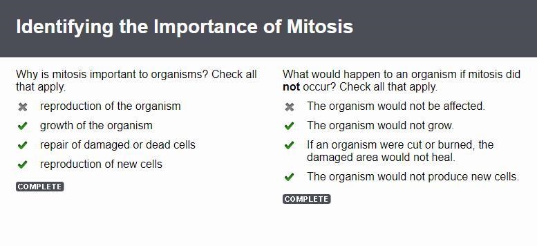 What would happen to an organism if mitosis did not occur? Check all that apply. The-example-1