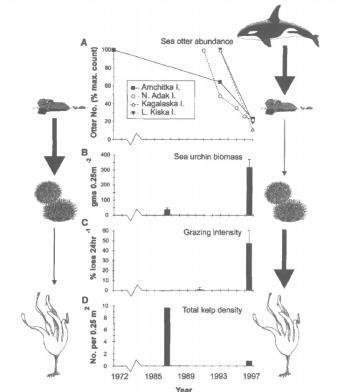 11. The arrows on the left and right sides of Figure 1 show the effects of one species-example-1