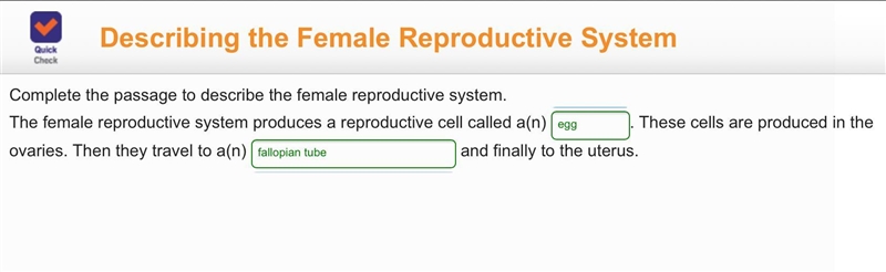 The female reproductive system produces a reproductive cell called a(n) blank. These-example-1