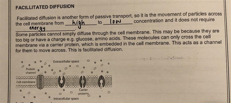 Sugar crosses the cell membrane from an area of high concentration to an area of low-example-1